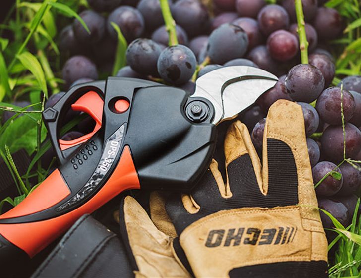 Powerful, convenient and safe. Powerful, convenient and safe.